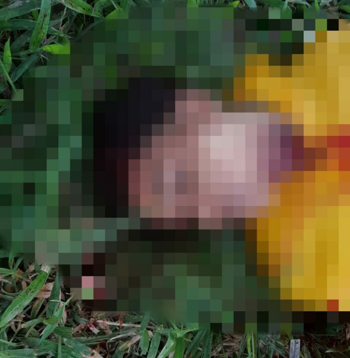 Com as mãos amarradas, jovem é encontrado morto na zona rural de Muritiba